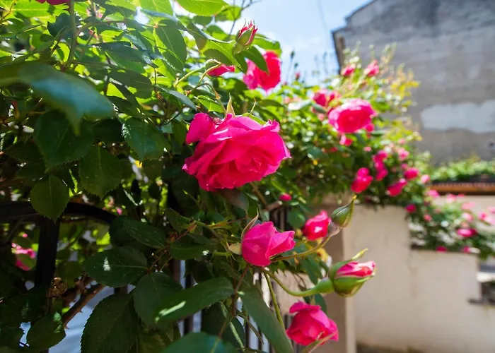 Art Elsor Casa de hóspedes